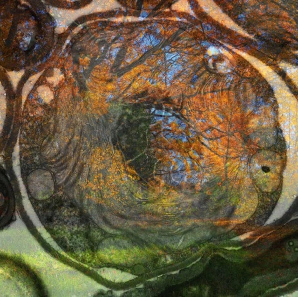 Cellulaire 7 Tirage photographique impression pigmentaire 25 x 25 cm, 2020