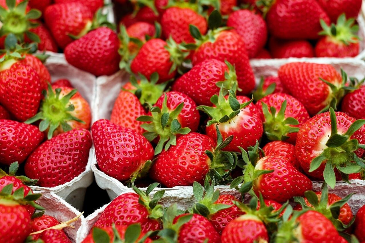 fraises