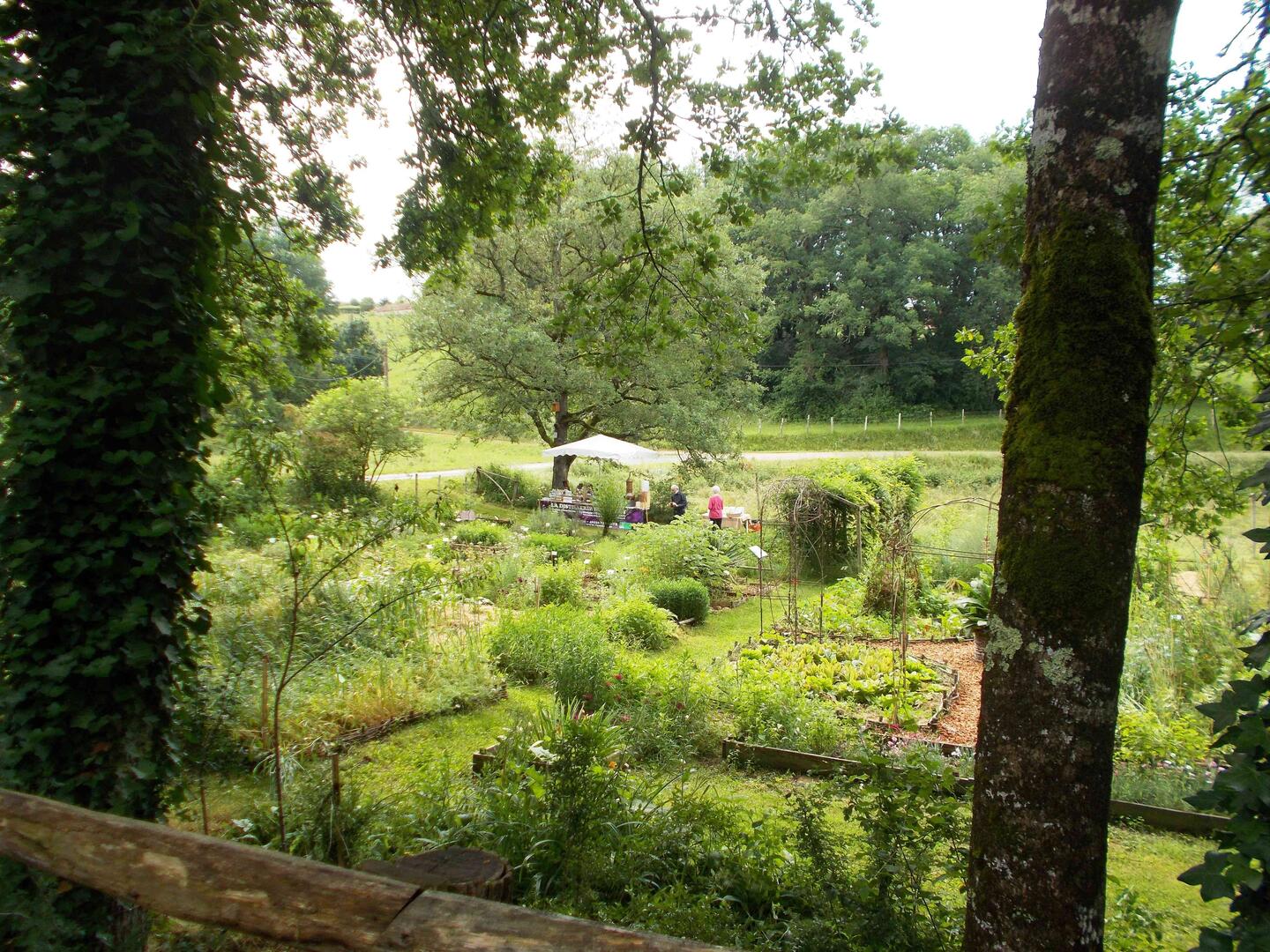 jardin-bourian