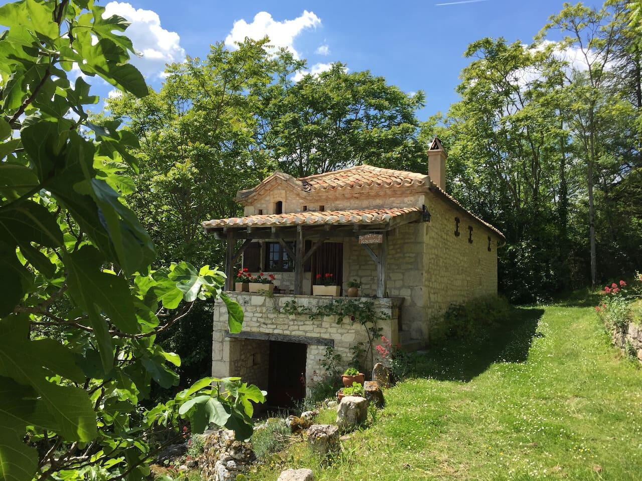 lepetitcournou