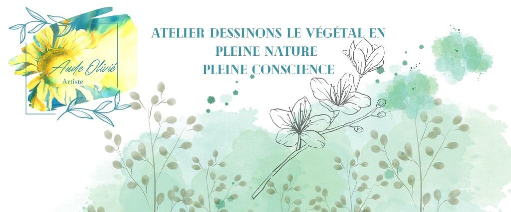 dessions le végétal