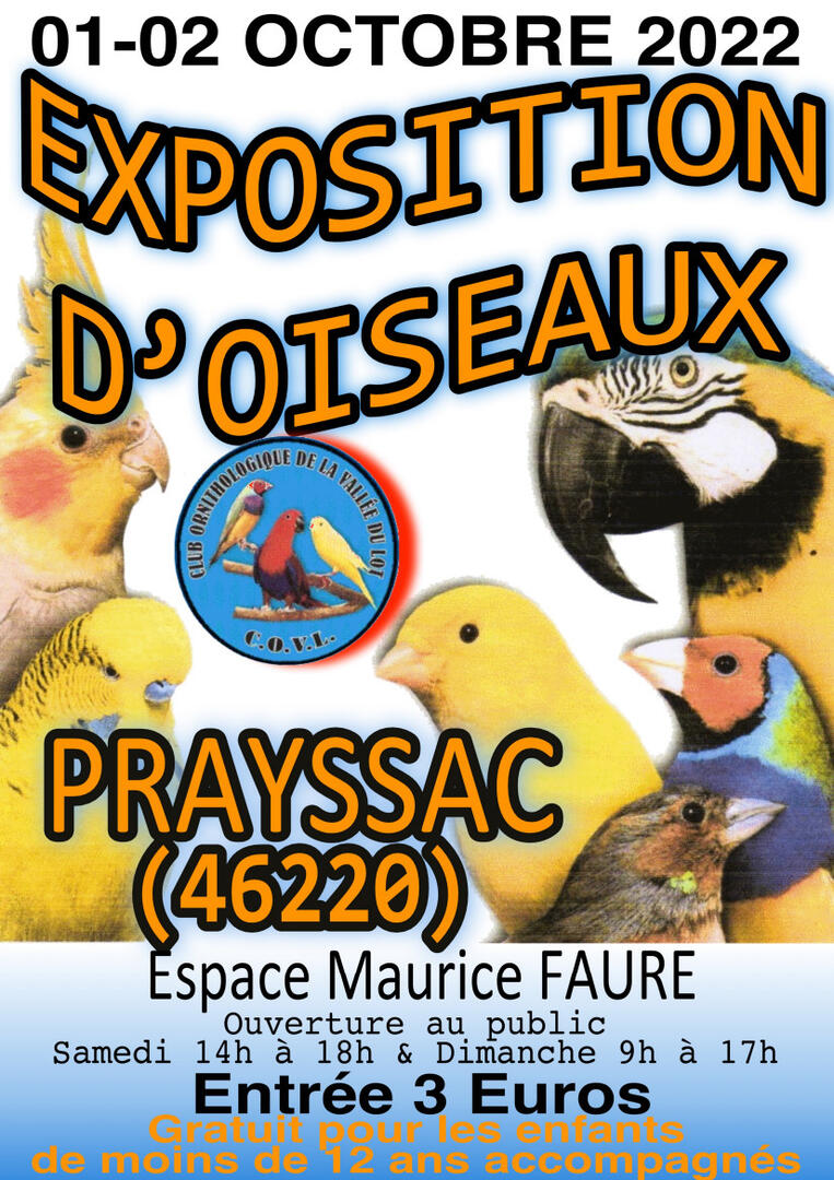 oiseaux