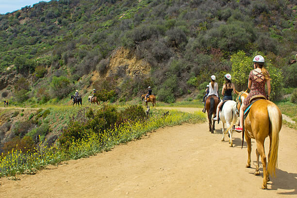rando à cheval