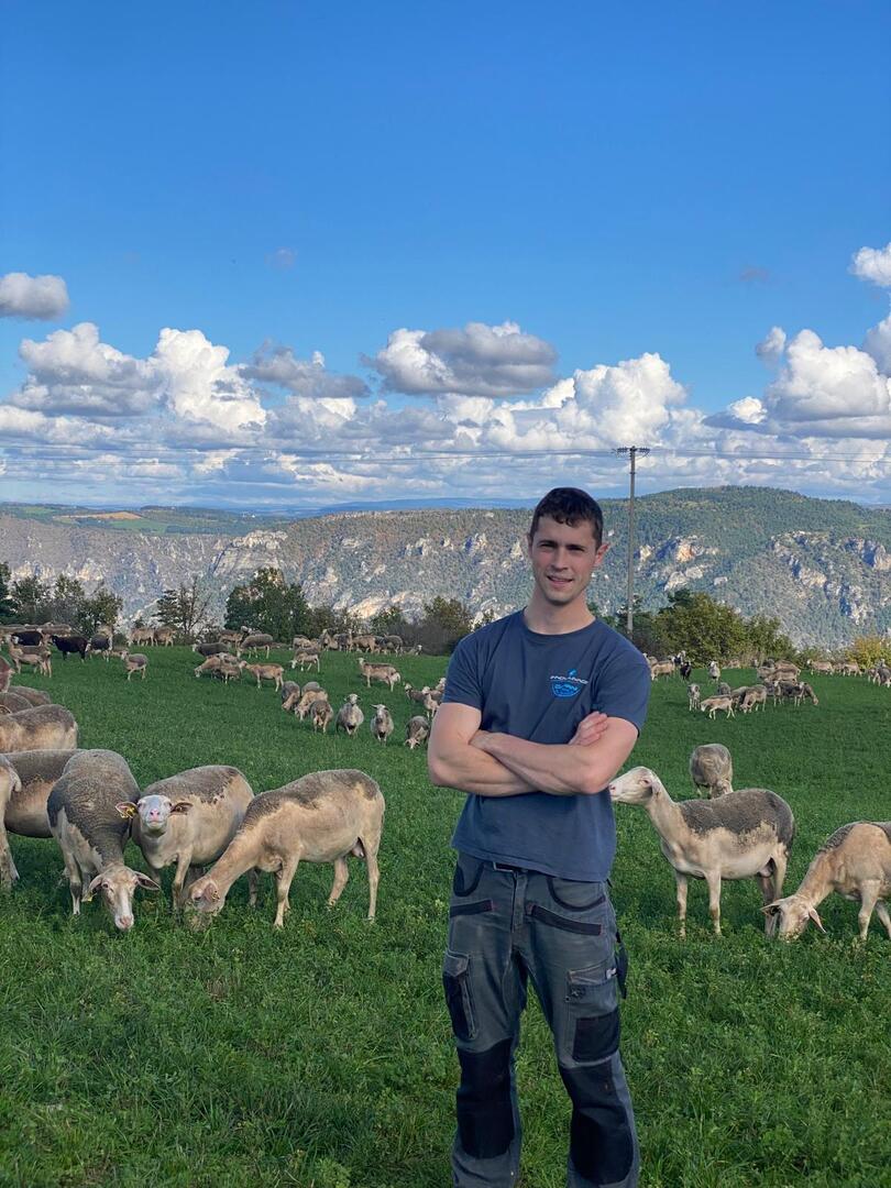 Un été à la ferme Gaec Aubepine