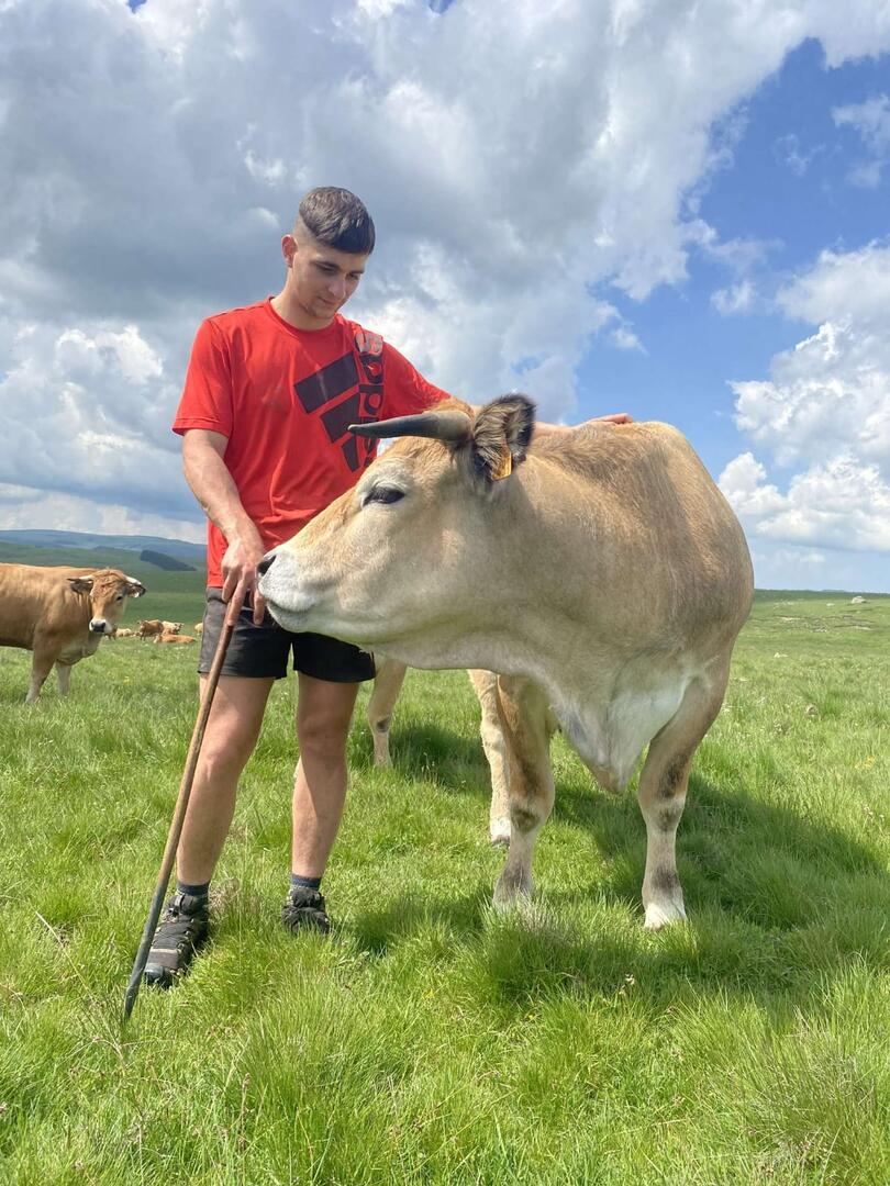 Un été à la ferme Gaec Pignol