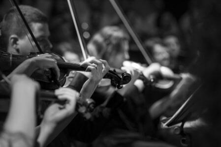 violons-stage de musique
