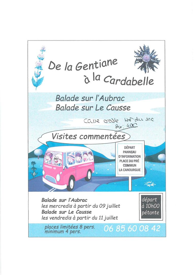 De la gentiane à La Cardabelle