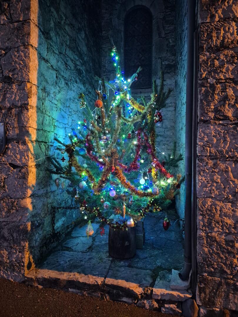 Sapin de l'église de la piguière