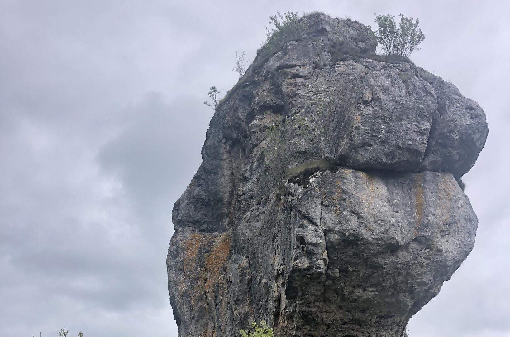 Lion de Balsièges_1