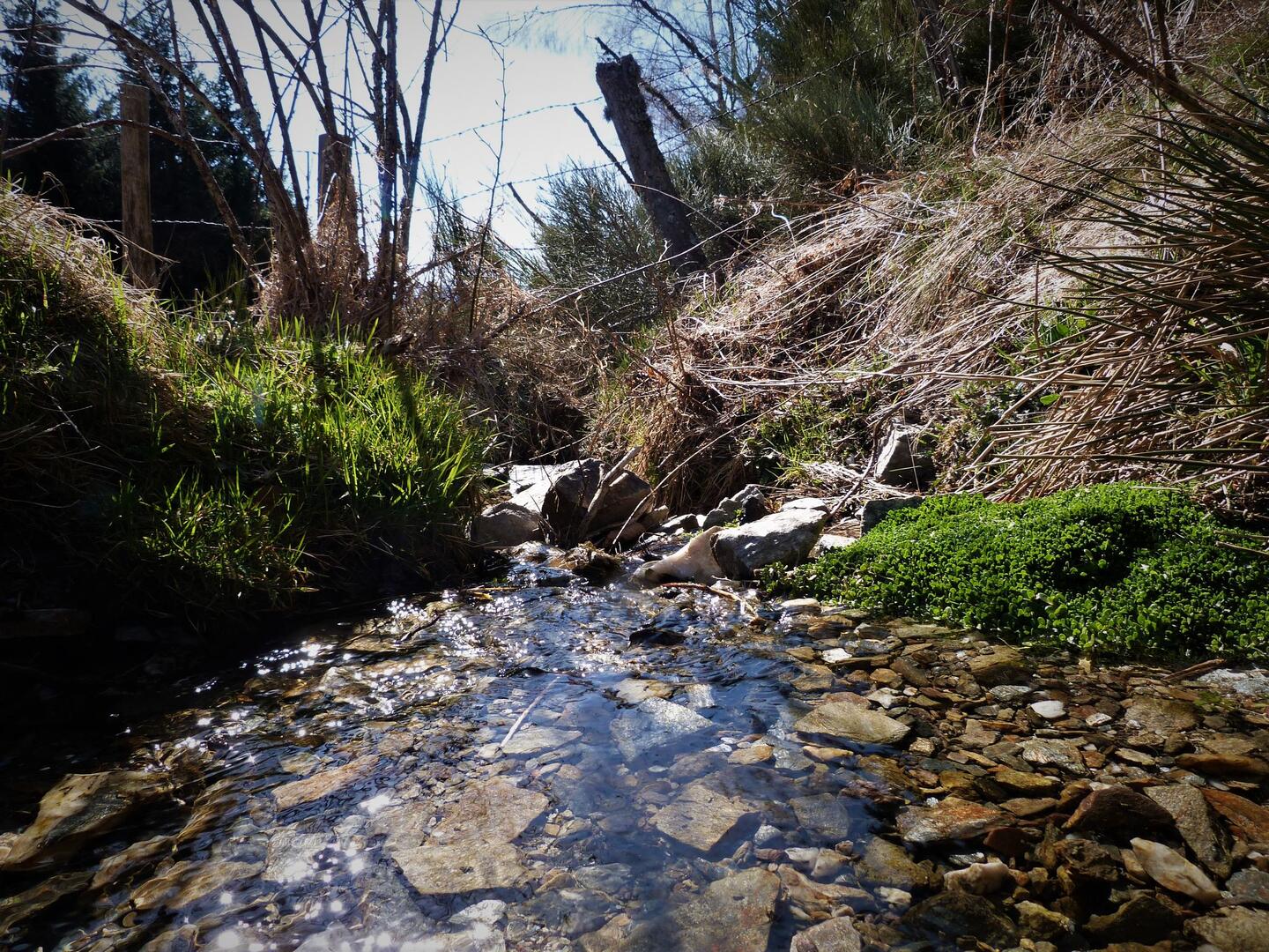Sentier des sources du Lot_1
