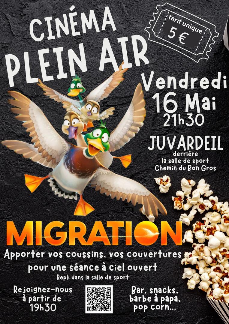 cinéma-plein-air-juvardeil-fma-49
