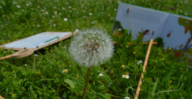 2025-04_atelier-explorateur-de-la-nature