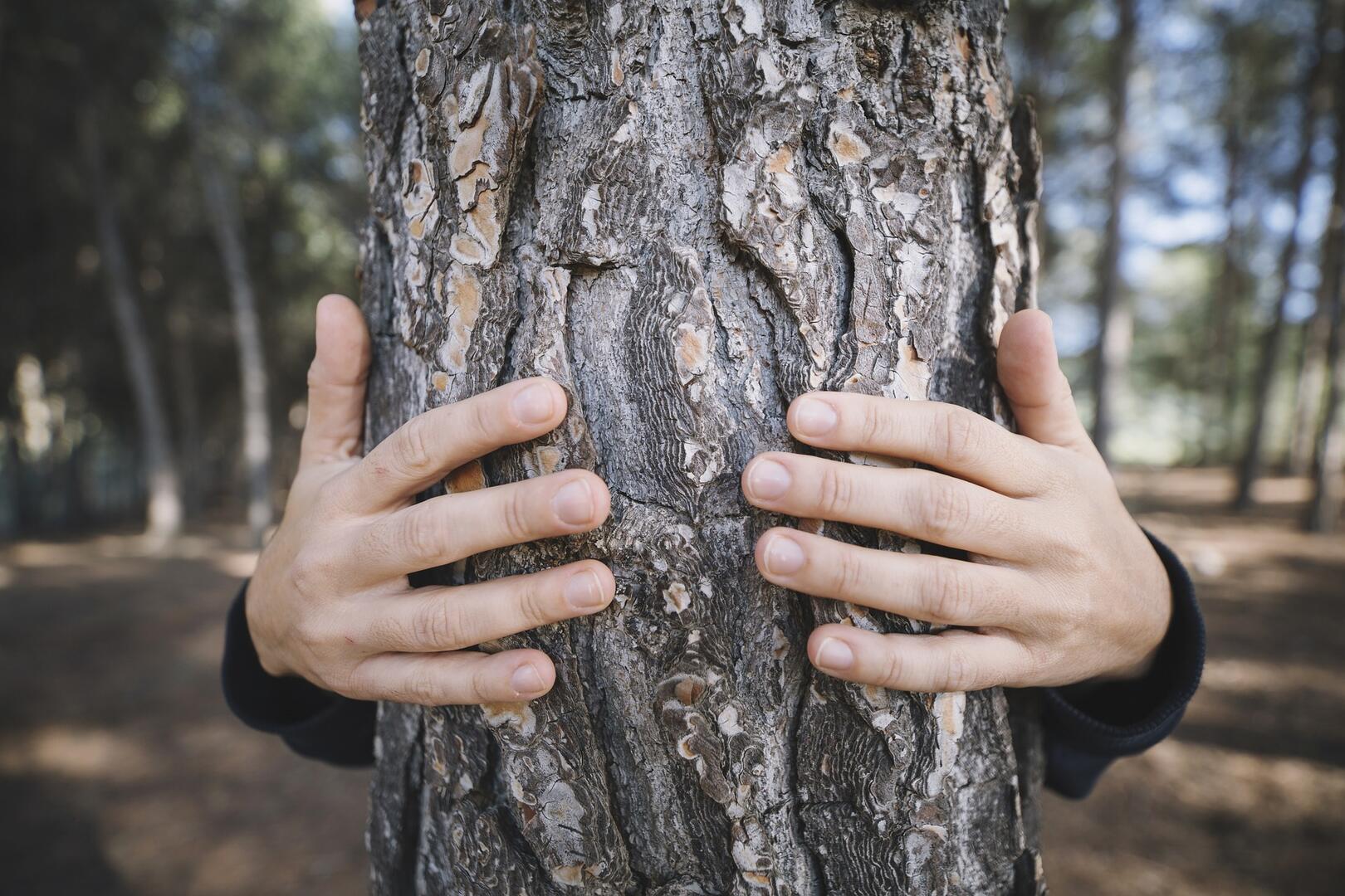 auprès de mon arbre