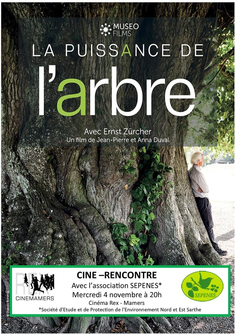 Affiche ciné rencontre la puissance de l'arbre - 4 novembre