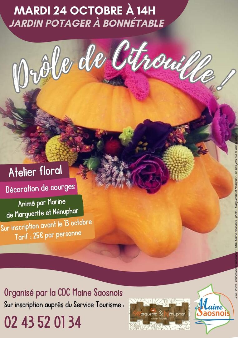 Affiche Drôle de citrouille