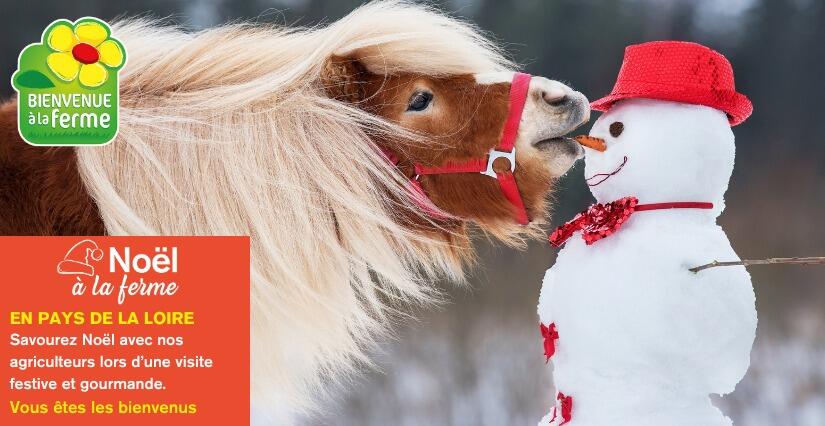 Fête de Noël à la ferme
