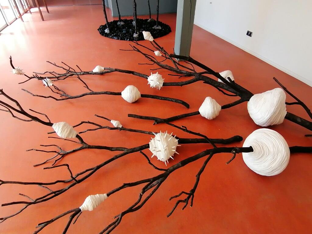 Still exist, Chloé Coomans - exposition Terre Commune 2024