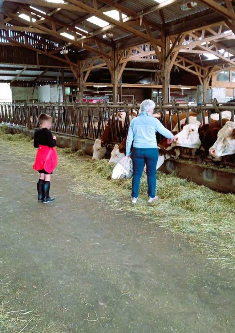 Atelier Visite guidée