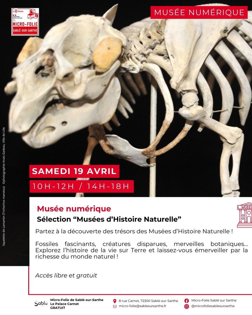 Sélection « musées d'histoire naturelle»