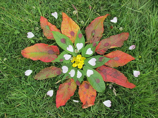 Landart-49-FMA-photo1
