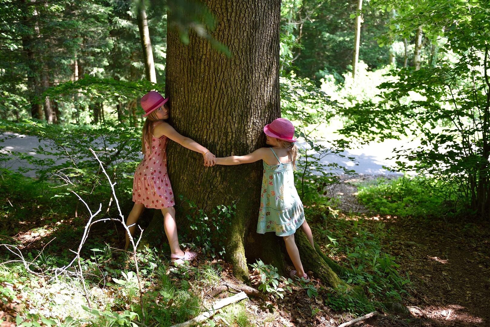 Enfants dans la forêt