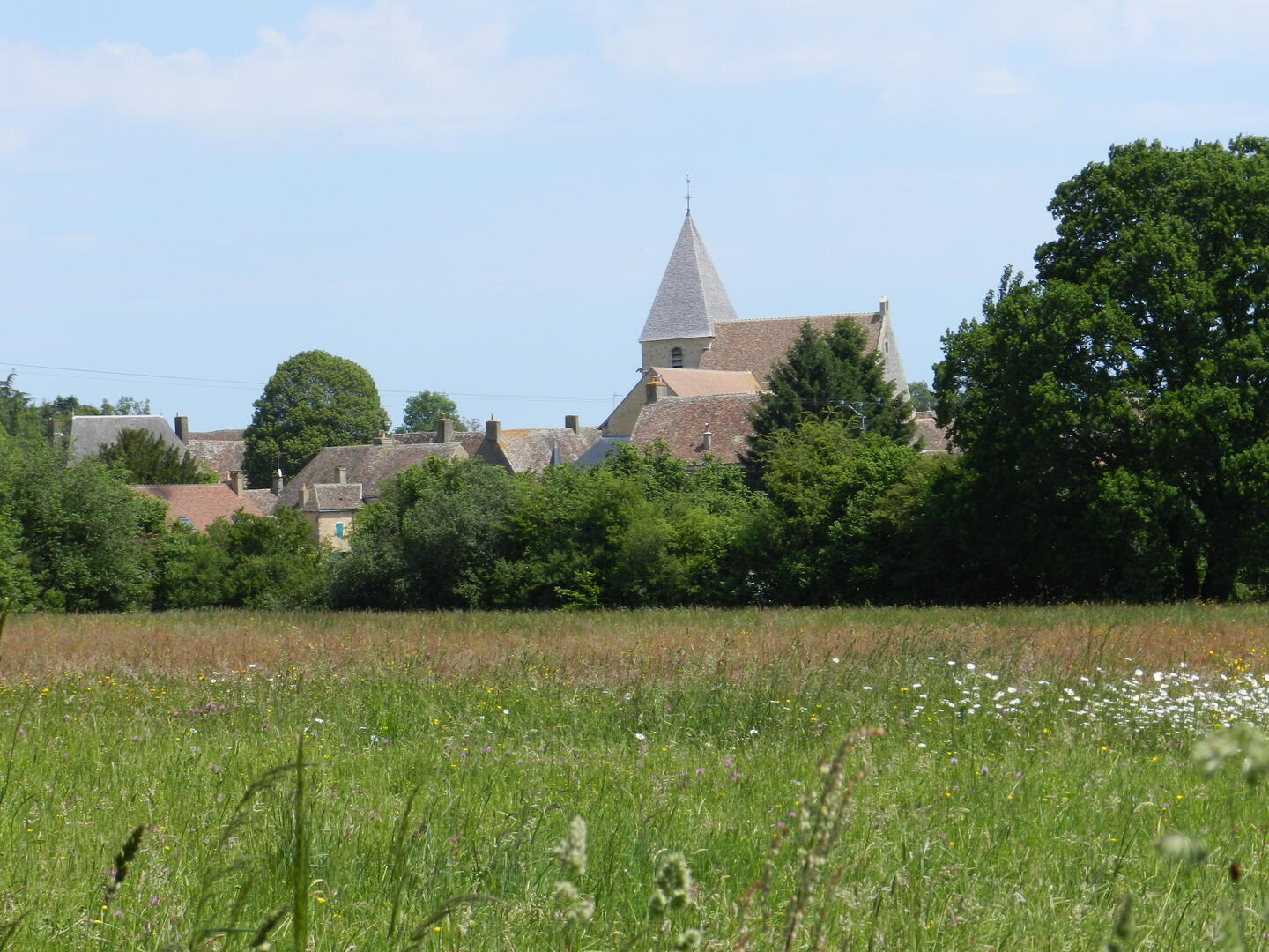 vue sur Saint Georges du Rosay