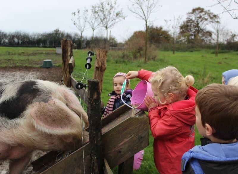 Découverte des animaux de la ferme