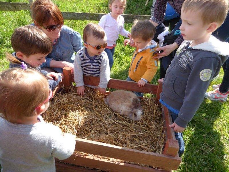Mon petit lapin