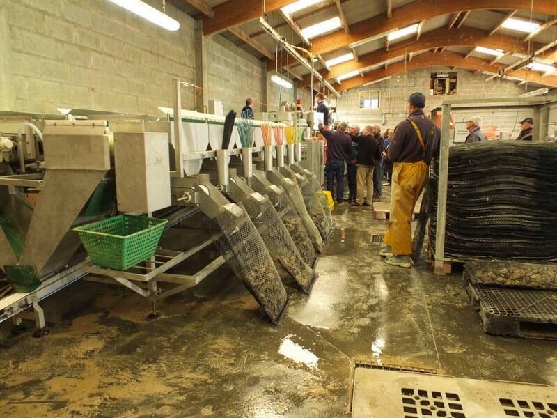 Ateliers ostréicoles 1 (Copier)