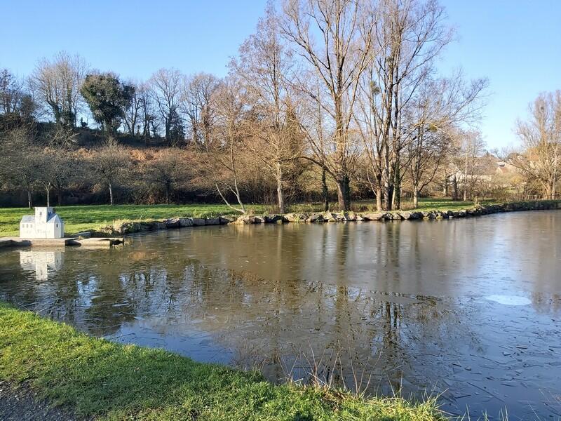 Etang Bulsar - Bois vignettes