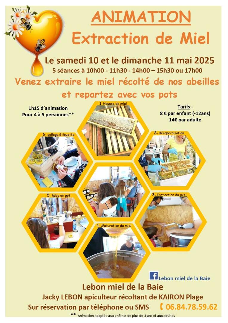 Extraction miel mai 2025