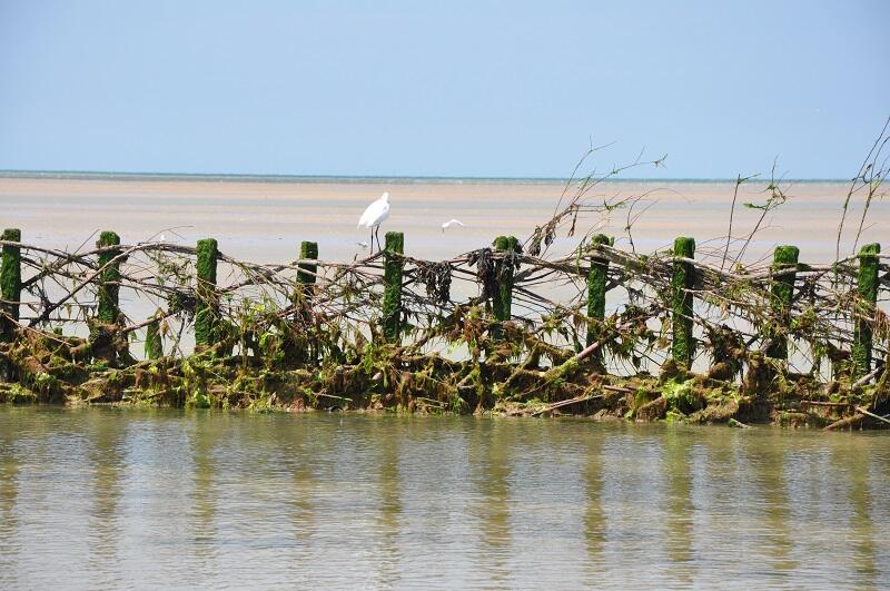 Pêcherie