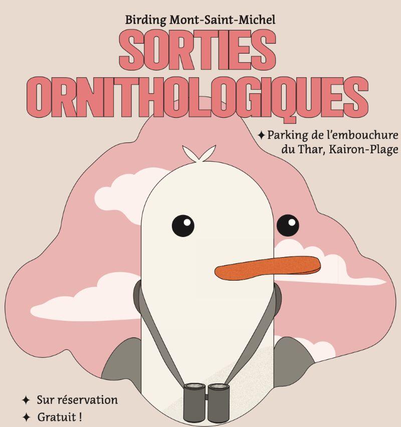 Sortie ornithologique Saint-Pair-sur-mer 2025