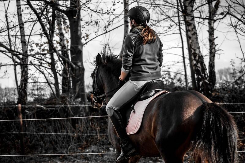 centre-equestre-val-de-sienne