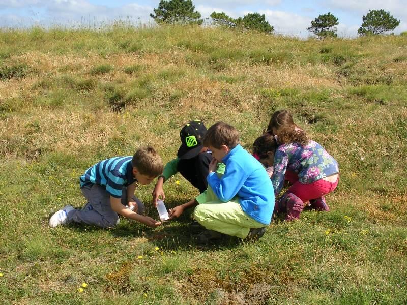CPIE_Enfants dans dunes (sortie éveil à la nature St Georges)