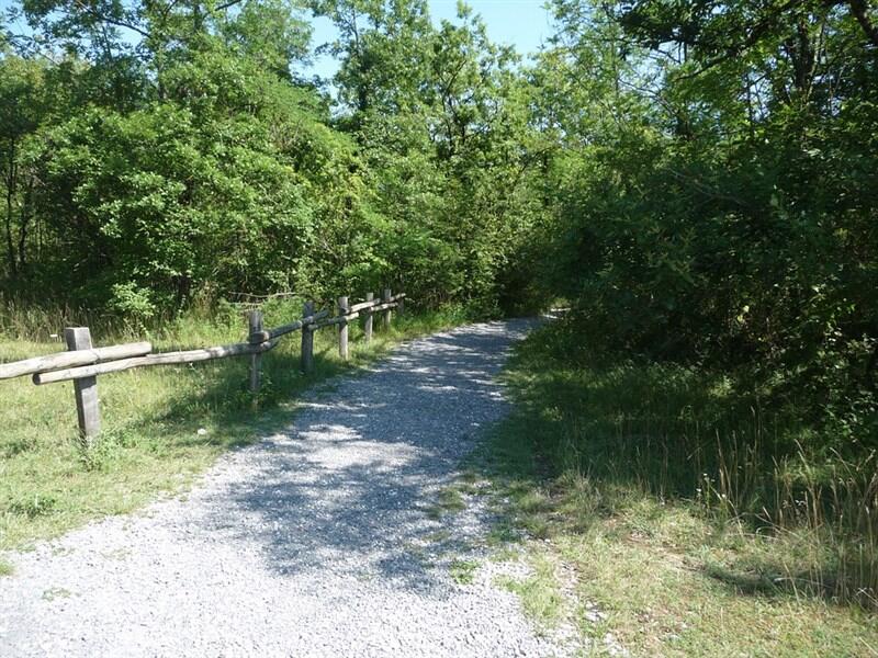 forêt pédagogique (800 x 600)
