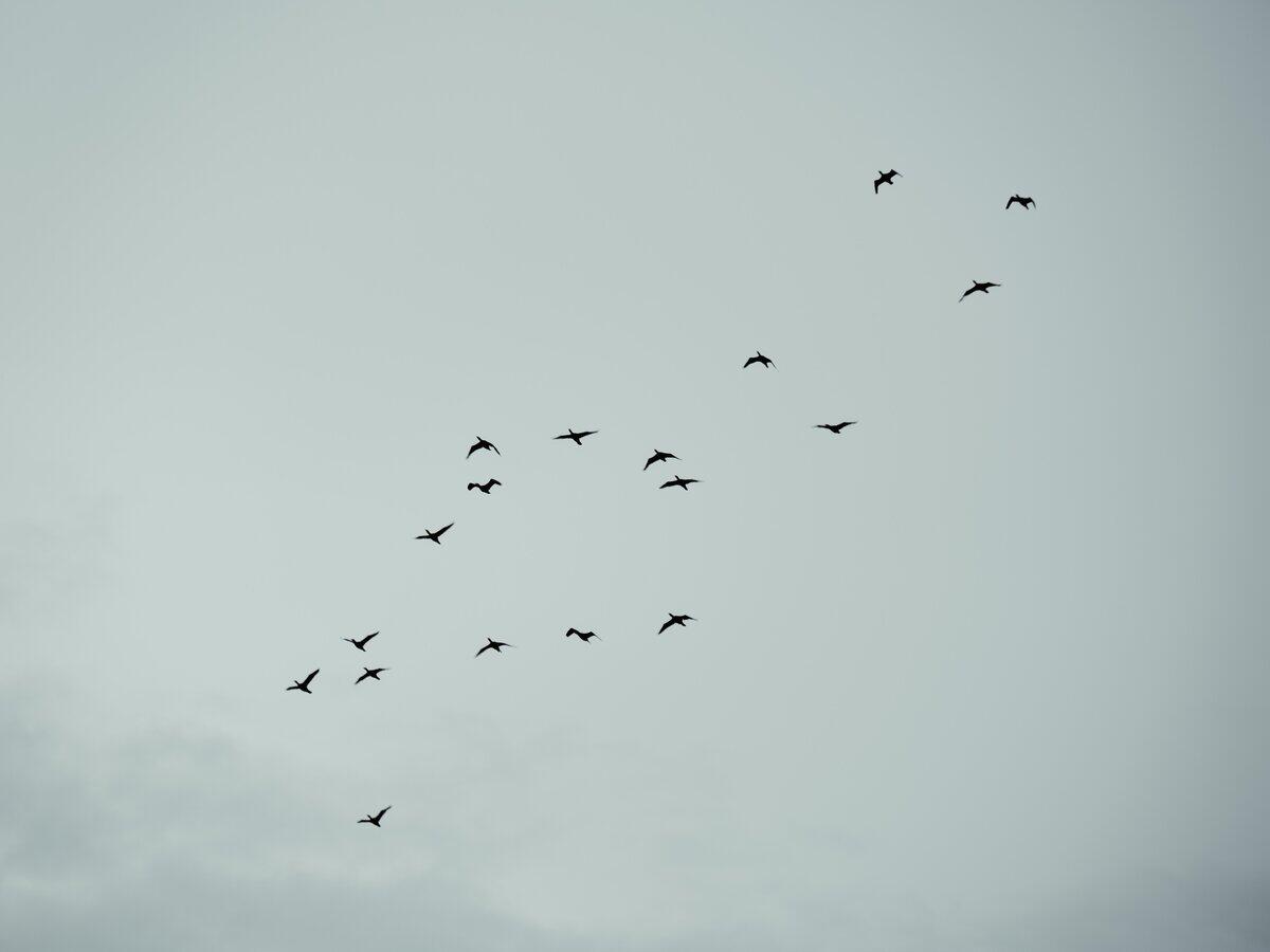 pexels-faruk-tokluoğlu-10452704 (1)