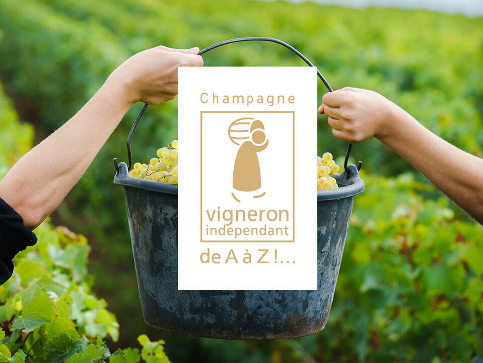 vigneron-inde-fond-photo-16