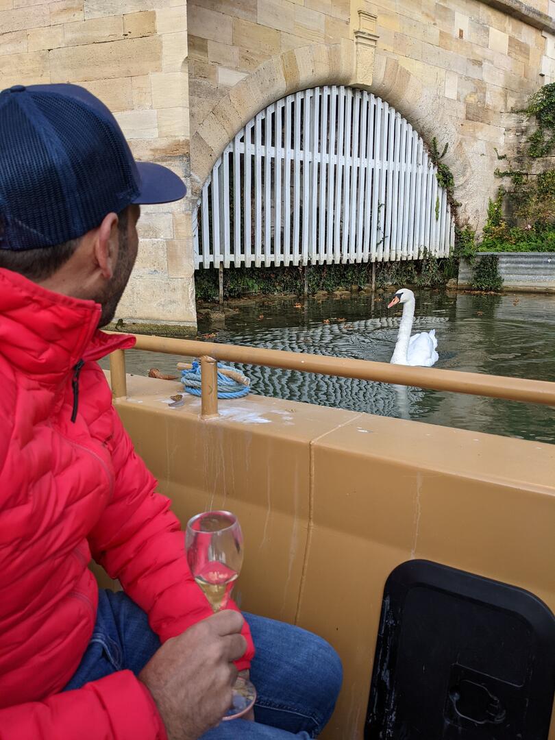 Dégustation au fil de l'eau