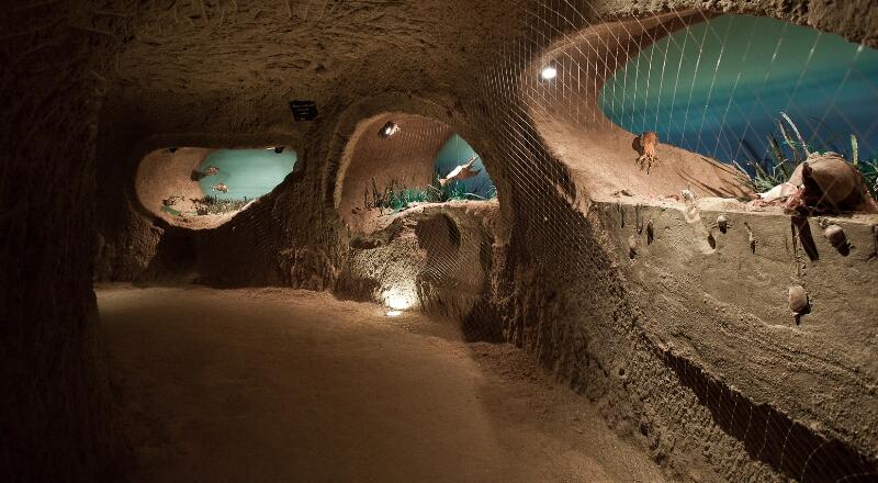 La-Cave-aux-Coquillages---Fleury-la-Rivier