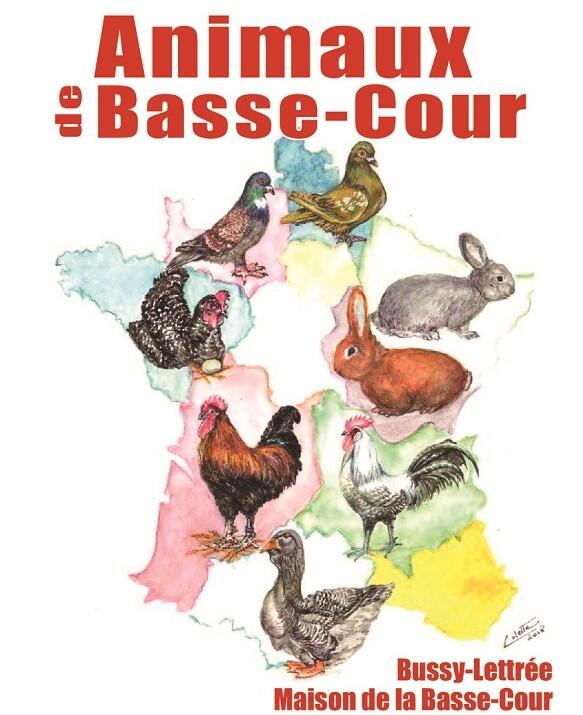 animaux-basse-cour-bussy-lettree