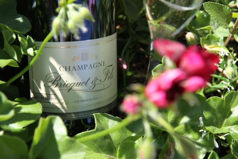 champagne-bricquet-et-fils-saint-amand-sur-fion