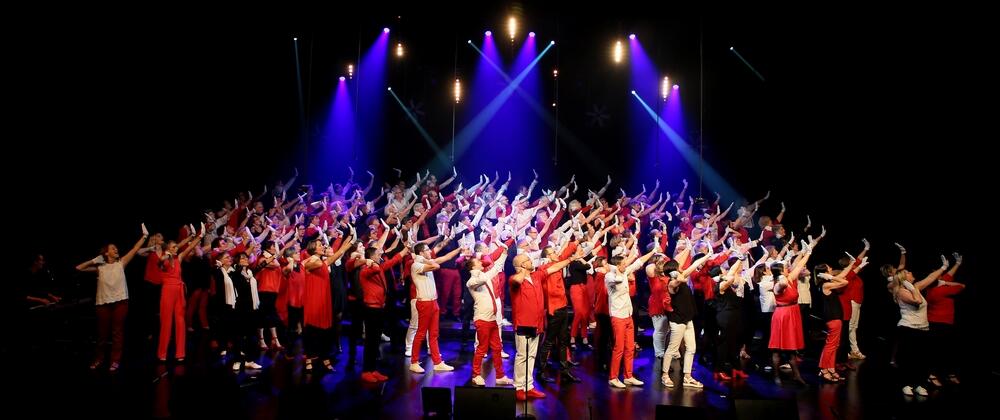 Coup d'choeur