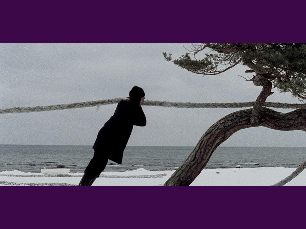 FMA-les-tremblements-du-monde