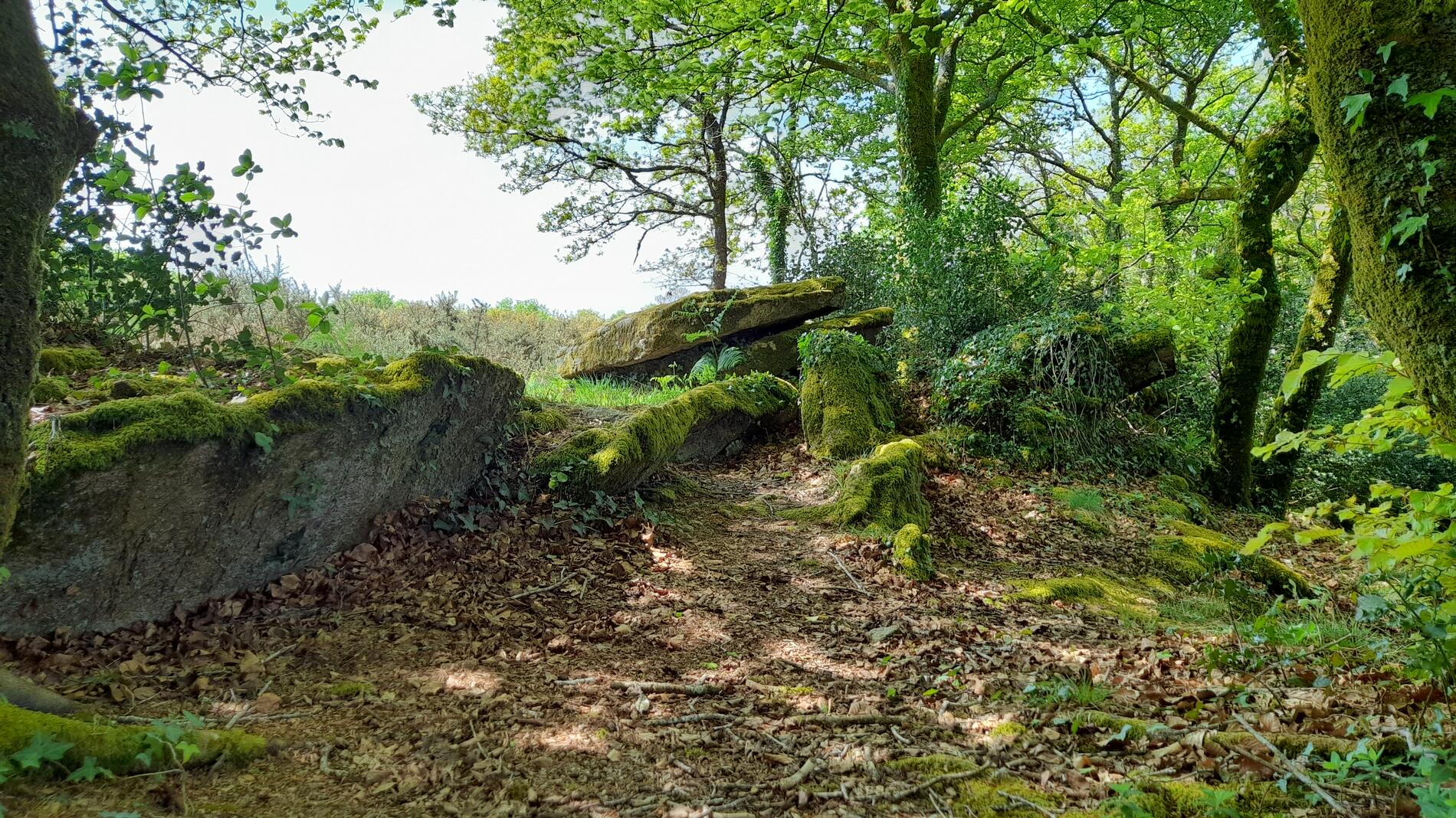 allée couverte Keroual d'en haut
