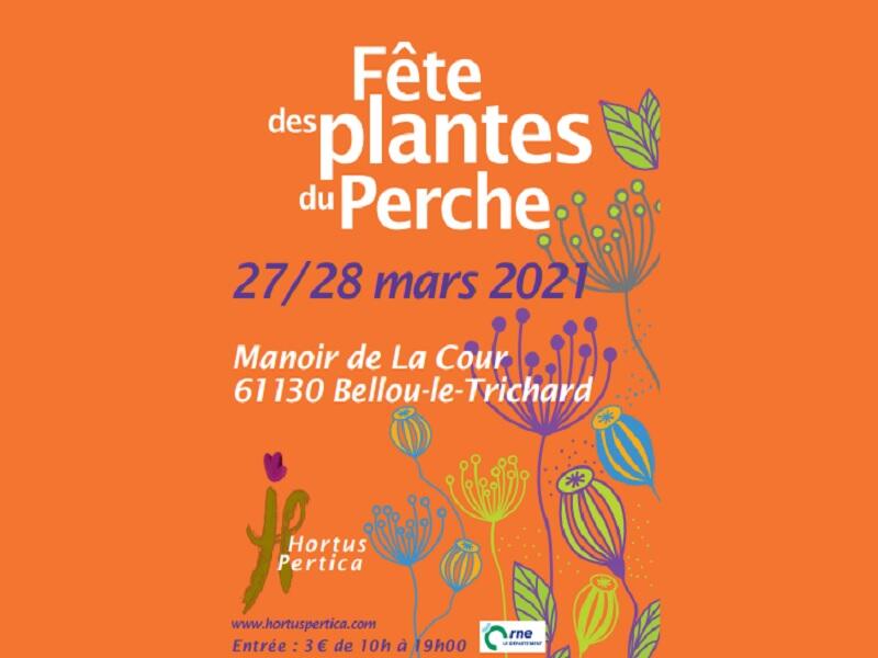 800Sans titre