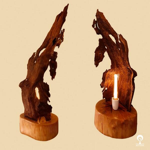 07 au 12 avril JEMA fruit du bois