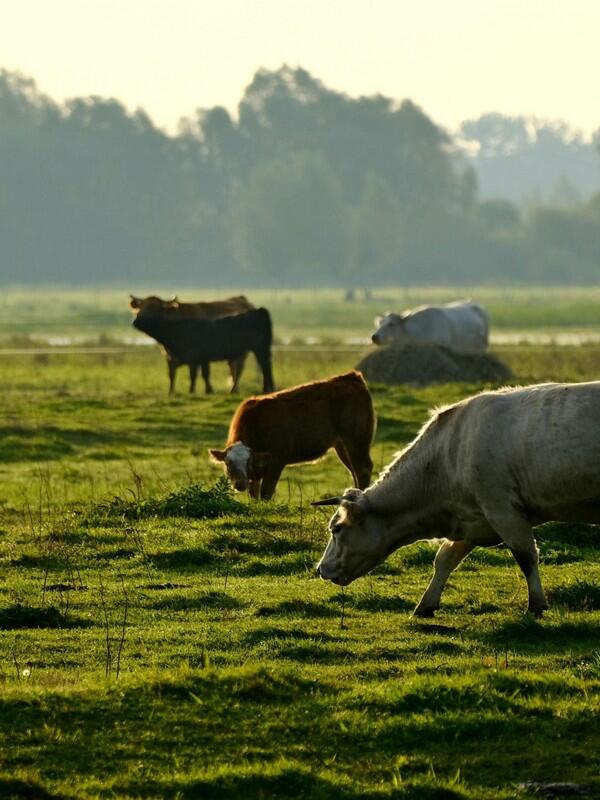 14 juin agriculture sol et biodiversité Bazoches
