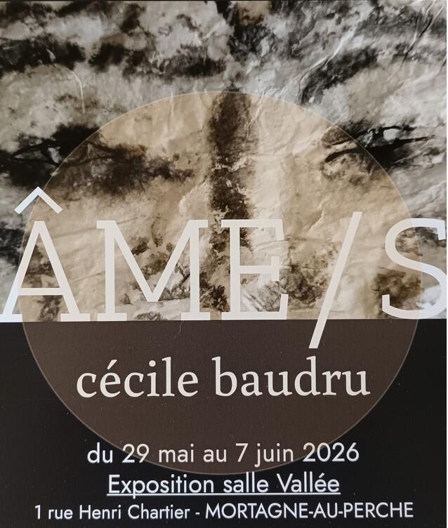 29 mai expo cecile baudru