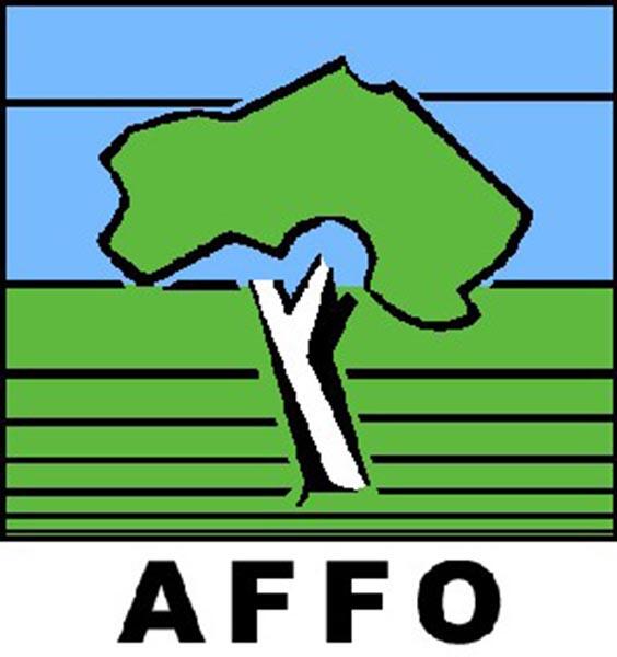 AFFO